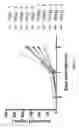 Fig. 33 - DNA ANTIBODY CONSTRUCTS AND METHOD OF USING SAME