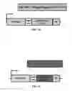 Fig. 40 - DNA ANTIBODY CONSTRUCTS AND METHOD OF USING SAME