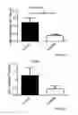 Fig. 06 - Immunoglobulin-like molecules directed against fibronectin-EDA