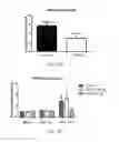 Fig. 22 - Immunoglobulin-like molecules directed against fibronectin-EDA