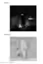 Fig. 19 - METHOD FOR MODULATING APPETITE