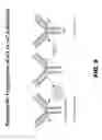 Fig. 14 - SITE-SPECIFIC ANTIBODY CONJUGATION METHODS AND COMPOSITIONS
