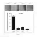 Fig. 12 - Antibody To Be Cross-Linked To Human SEMA3A And Use Thereof