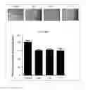 Fig. 23 - Antibody To Be Cross-Linked To Human SEMA3A And Use Thereof