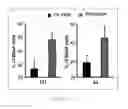 Fig. 26 - Antibody To Be Cross-Linked To Human SEMA3A And Use Thereof