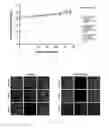 Fig. 30 - Antibody To Be Cross-Linked To Human SEMA3A And Use Thereof