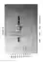 Fig. 09 - Functional Antibody Fragment Complementation for a Two-Components System for Redirected Killing of Unwanted Cells