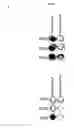 Fig. 09 - PEPTIDES