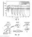 Fig. 08 - IL-17 receptor antibody formulation
