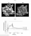 Fig. 02 - Anti-mesothelin antibody and composition comprising the same
