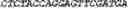 Fig. 05 - Synthetic notch protein for modulating gene expression