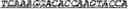 Fig. 100 - Synthetic notch protein for modulating gene expression