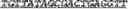 Fig. 103 - Synthetic notch protein for modulating gene expression