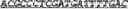Fig. 15 - Synthetic notch protein for modulating gene expression