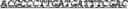 Fig. 19 - Synthetic notch protein for modulating gene expression