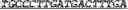 Fig. 28 - Synthetic notch protein for modulating gene expression
