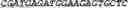 Fig. 45 - Synthetic notch protein for modulating gene expression