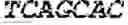 Fig. 46 - Synthetic notch protein for modulating gene expression