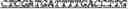 Fig. 50 - Synthetic notch protein for modulating gene expression