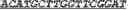 Fig. 51 - Synthetic notch protein for modulating gene expression