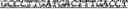 Fig. 52 - Synthetic notch protein for modulating gene expression