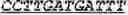 Fig. 54 - Synthetic notch protein for modulating gene expression