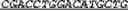 Fig. 55 - Synthetic notch protein for modulating gene expression