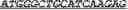 Fig. 64 - Synthetic notch protein for modulating gene expression