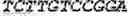 Fig. 75 - Synthetic notch protein for modulating gene expression