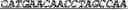 Fig. 83 - Synthetic notch protein for modulating gene expression