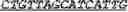 Fig. 85 - Synthetic notch protein for modulating gene expression