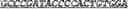 Fig. 90 - Synthetic notch protein for modulating gene expression
