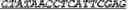 Fig. 91 - Synthetic notch protein for modulating gene expression