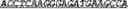 Fig. 92 - Synthetic notch protein for modulating gene expression