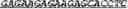 Fig. 96 - Synthetic notch protein for modulating gene expression