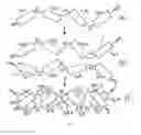 Fig. 03 - ANTIGEN-BINDING MOLECULE AND USES THEREOF
