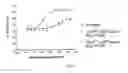 Fig. 04 - ANTIGEN-BINDING MOLECULE AND USES THEREOF