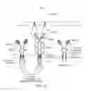 Fig. 14 - Cell