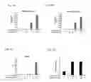 Fig. 08 - Chimeric proteins for targeting dsRNA