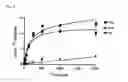 Fig. 12 - Chimeric proteins for targeting dsRNA