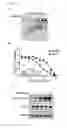 Fig. 15 - Chimeric proteins for targeting dsRNA
