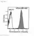 Fig. 16 - Chimeric proteins for targeting dsRNA
