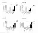 Fig. 20 - Chimeric proteins for targeting dsRNA