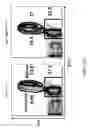 Fig. 28 - ADAM6 mice