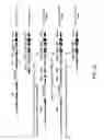 Fig. 04 - ADAM6 mice