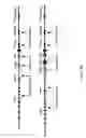 Fig. 08 - ADAM6 mice