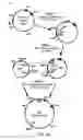Fig. 11 - ADAM6 mice