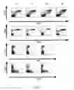 Fig. 15 - ADAM6 mice