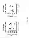 Fig. 31 - ADAM6 mice