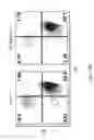 Fig. 35 - ADAM6 mice